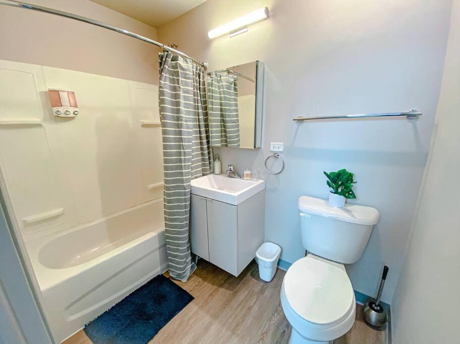 Modern 2Br In South Loop Near Soldier Field, Grant Park, Downtown, & Lakefront Trail Чикаго Экстерьер фото